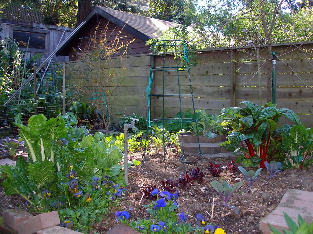 backyard home garden that needs a soil pH meter